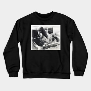 My Gorgeous Champ! Crewneck Sweatshirt